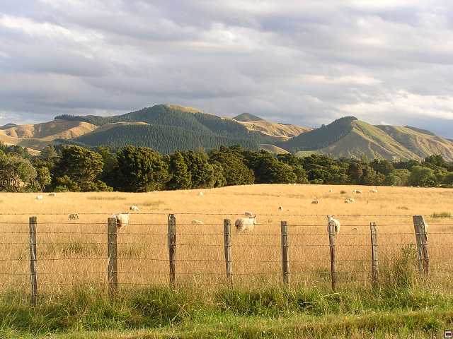 NZ leden-unor 2006 089.jpg